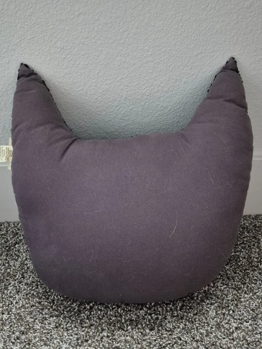 Emily & Meritt Pottery Barn Teen Black Sequin Cat Pillow 16